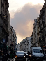 Notre Dame cathedral is on fire!