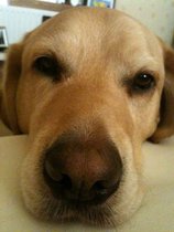 Any Witches Here? Part 8.