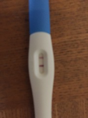Bfp or evap line?