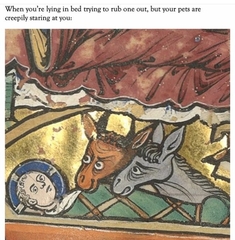 Please share your funny memes or pictures.