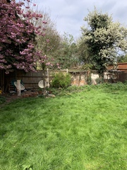 Garden frustrations