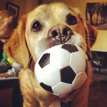 Any Witches Here? Part 8.