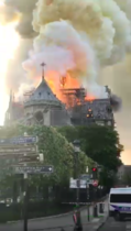 Notre Dame cathedral is on fire!