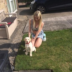 New puppy help