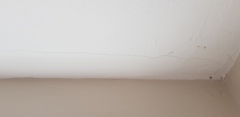 Cracks in my house!