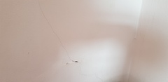 Cracks in my house!