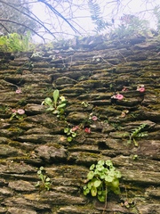 Any Witches Here? Part 7.