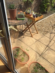 29th March "Grow your own" newcomers welcome here