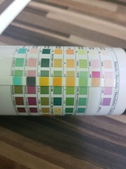 protein in urine *pic attached*