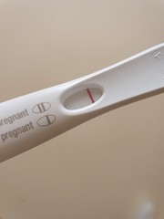 Bfp