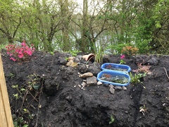 Show me your garden!!!