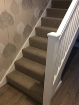 Let's talk about carpet...