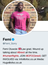 Which Remain voices do you think have the most impact?