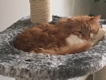 I think they need a new bed....