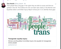 'Prominant' campaigning role of Tara Hewitt: NHS, TELI, Social work, universities etc