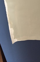 Dulux Overtly Olive?