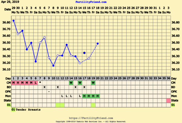 First Pregnancy Missed Miscarriage