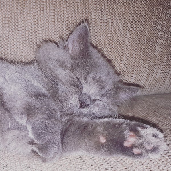 Look at these floofy feet!