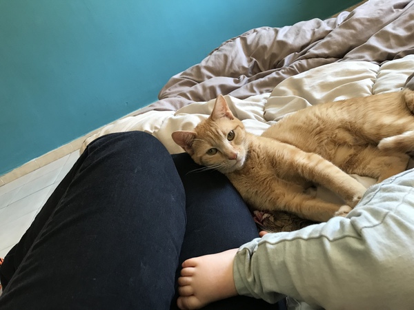 Help me name this kitty!
