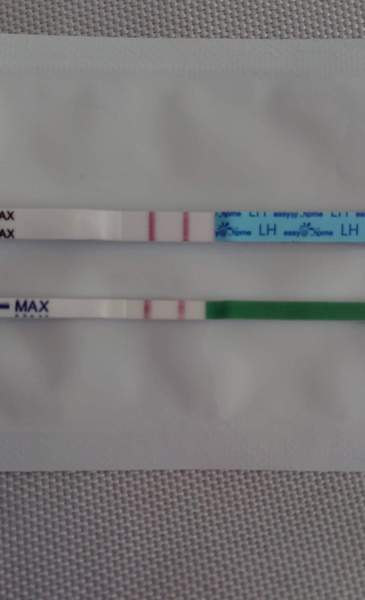 TTC after pregnancy loss - Thread 30 - huddle up and bring on the BFP's