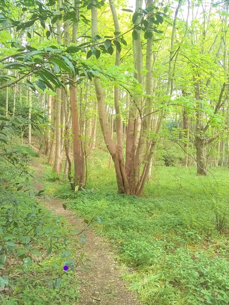 Any Witches Here? Part 8.