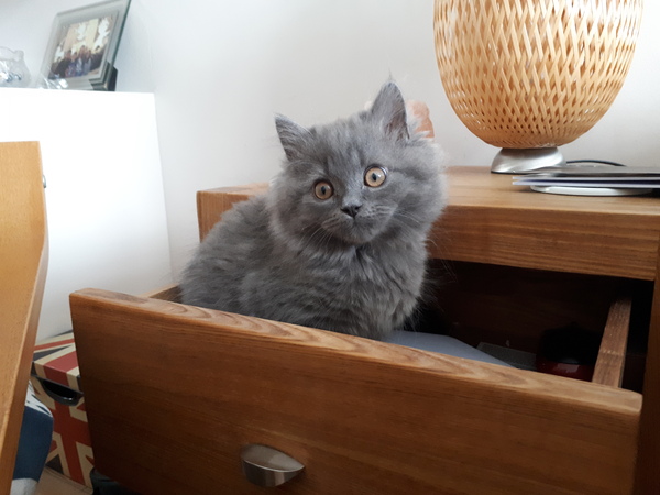 What's your DCat up to today? (Thread 7!)