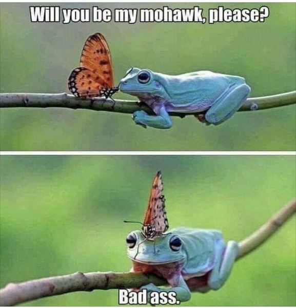 Please share your funny memes or pictures.