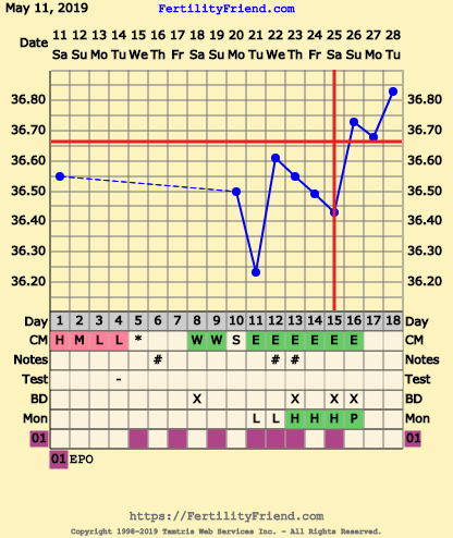 First Pregnancy Missed Miscarriage (Part III)