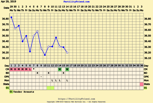 First Pregnancy Missed Miscarriage