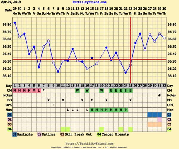 First Pregnancy Missed Miscarriage (Part III)