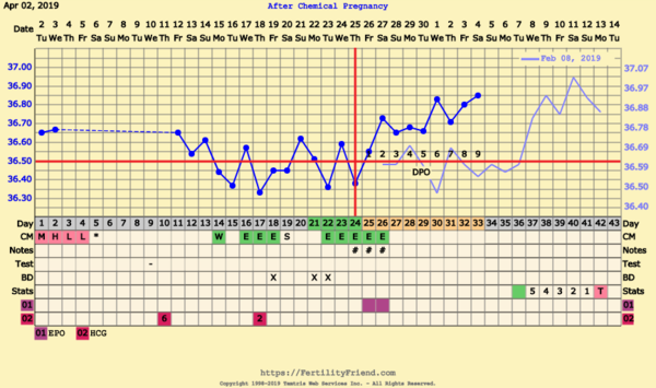 First Pregnancy Missed Miscarriage