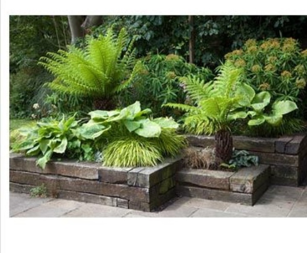 Help me choose plants for my raised beds in backyard please !