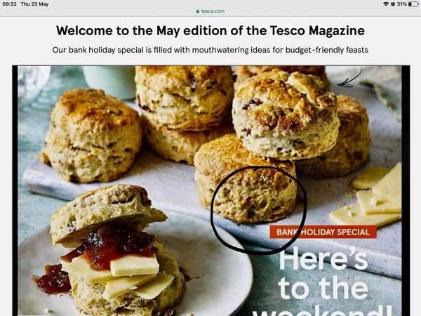 To think there is a dead wasp  stuck in a scone on the cover  picture of the Tesco magazine?