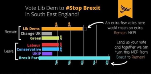 Who should I vote for in the European Elections?