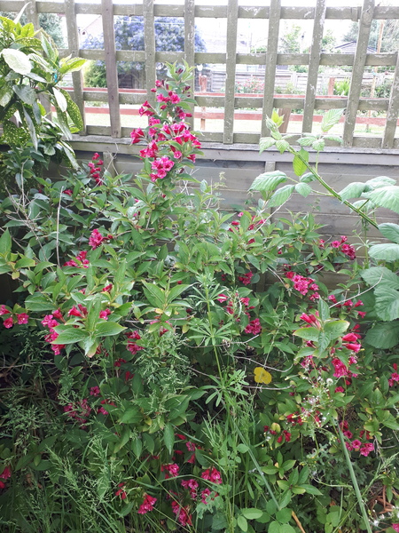 Will this survive being moved?