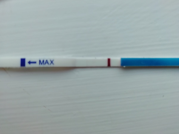 May bus
