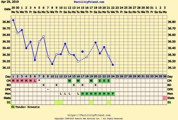 First Pregnancy Missed Miscarriage (Part III)
