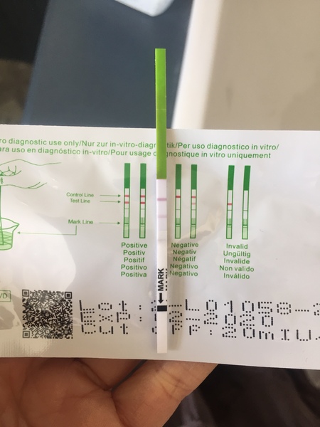 TTC 1st Baby - Thread 17!