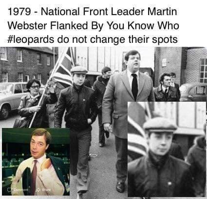 Westminstenders: A fully functioning government?