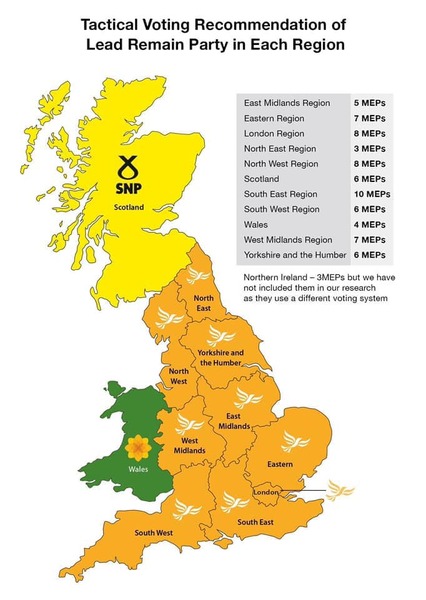 How should remainers vote in the EU elections