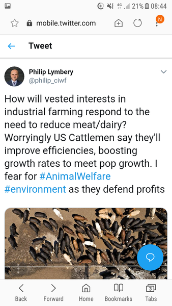 To think ‘Flexitarian’ isn’t hypocritical?