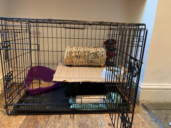 Indestructible indoor hutch?!!