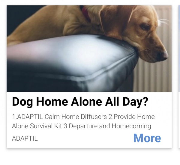 Welcome to the Advice Clinic - Please come in