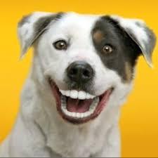 AIBU to post a happy picture