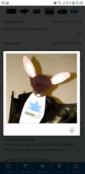 A happy memory photo for the more mature MN poster