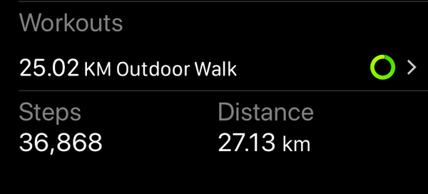 To think that 10,000 steps is a lot?