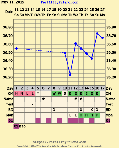 First Pregnancy Missed Miscarriage (Part III)