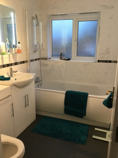 To ask you to look at this pic of my new bathroom and tell me why I hate it!
