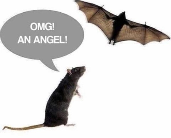 Please share your funny memes or pictures.