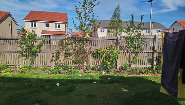 Allotment?Veg Patch Thread 13! Are we weathering the weather?